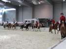 CAVALIADA 2013 w Poznaniu