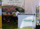 Caussade Nasiona Polska na ZIELONE AGRO SHOW w Ułężu 2017