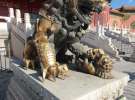 Gospodarz.pl w Chinach
