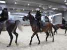 CAVALIADA 2013 w Poznaniu