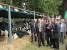  XX Targi Rolnicze Lubniewice