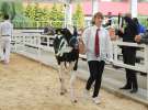 Wystawa bydła Sielinko 2011