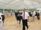 Wystawa bydła Sielinko 2011