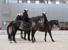 CAVALIADA 2013 w Poznaniu