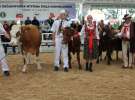 Prezentacja Championów na VII Ogólnopolskiej Wystawie Bydła Hodowlanego w Sielinku 2012