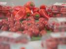 POLAGRA FOOD 2013 w Poznaniu