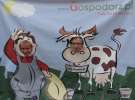 Wielkopolskie Targi Rolnicze „Sielinko 2011”  - Krówka Gospodarza