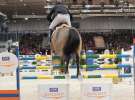 CAVALIADA 2013 w Poznaniu
