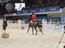 CAVALIADA 2013 w Poznaniu