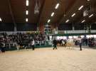 Wystawa  Blickpunkt Rind 2013 w miejscowości Paaren/Glien (Niemcy)