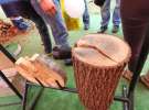 AGRO SHOW 2013 - sobota i niedziela