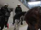 CAVALIADA 2013 w Poznaniu