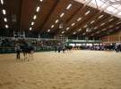 Wystawa  Blickpunkt Rind 2013 w miejscowości Paaren/Glien (Niemcy)