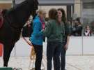 CAVALIADA 2013 w Poznaniu