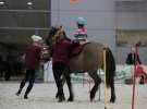 CAVALIADA 2013 w Poznaniu