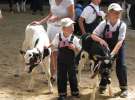 Młody Hodowca - Szepietowo 2012 XIX Regionalna Wystawa Zwierząt Hodowlanych