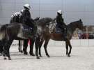 CAVALIADA 2013 w Poznaniu