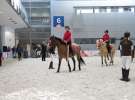 CAVALIADA 2013 w Poznaniu