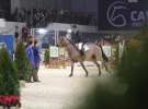 CAVALIADA 2013 w Poznaniu