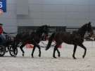 CAVALIADA 2013 w Poznaniu