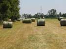 Zielone AGRO SHOW – POLSKIE ZBOŻA 2014 w Sielinku - sobota