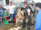 Dni Otwarte w GR Hendripol sp. z o.o.