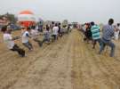 ZETOR FAMILY TRACTOR SHOW 2012 - Tursko k/Kalisza