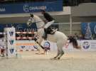 CAVALIADA 2013 w Poznaniu