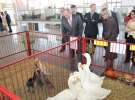 Spacer Ministra Sawickiego po terenie targów Polagra Food i KWZH