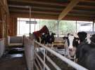 Wyjazd studyjny na farmę Langengrassau w Niemczech