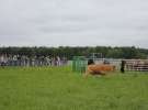 Polskie Zboża i Zielone Agro Show 2013