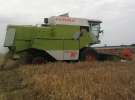 Żniwa 2011 CLAAS C-360 w roli głownej 