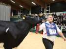 Wystawa  Blickpunkt Rind 2013 w miejscowości Paaren/Glien (Niemcy)