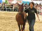 Wystawa Koni Sielinko 2011