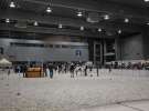 CAVALIADA 2013 w Poznaniu