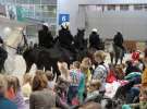 CAVALIADA 2013 w Poznaniu