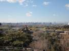 Gospodarz.pl w Chinach