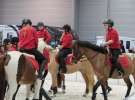 CAVALIADA 2013 w Poznaniu