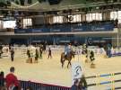 CAVALIADA 2013 w Poznaniu