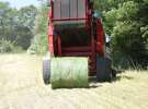 Zielone AGRO SHOW – POLSKIE ZBOŻA 2014 w Sielinku - sobota