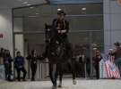 CAVALIADA 2013 w Poznaniu