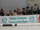 CAVALIADA 2013 w Poznaniu