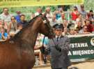 Zielone AGRO SHOW – POLSKIE ZBOŻA 2014 w Sielinku - niedziela