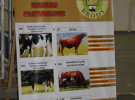 Międzynarodowe Targi Hodowli Zwierząt FARMA