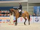 CAVALIADA 2013 w Poznaniu