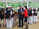 Prezentacja Championów na VII Ogólnopolskiej Wystawie Bydła Hodowlanego w Sielinku 2012