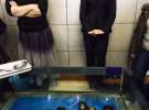 Gospodarz.pl w Chinach