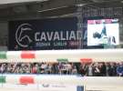 CAVALIADA 2013 w Poznaniu