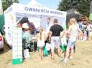 AGRO-TECH Minikowo 2014 - niedziela