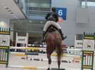 CAVALIADA 2013 w Poznaniu